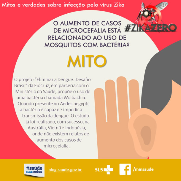 mitos-e-verdades-Zika-02z